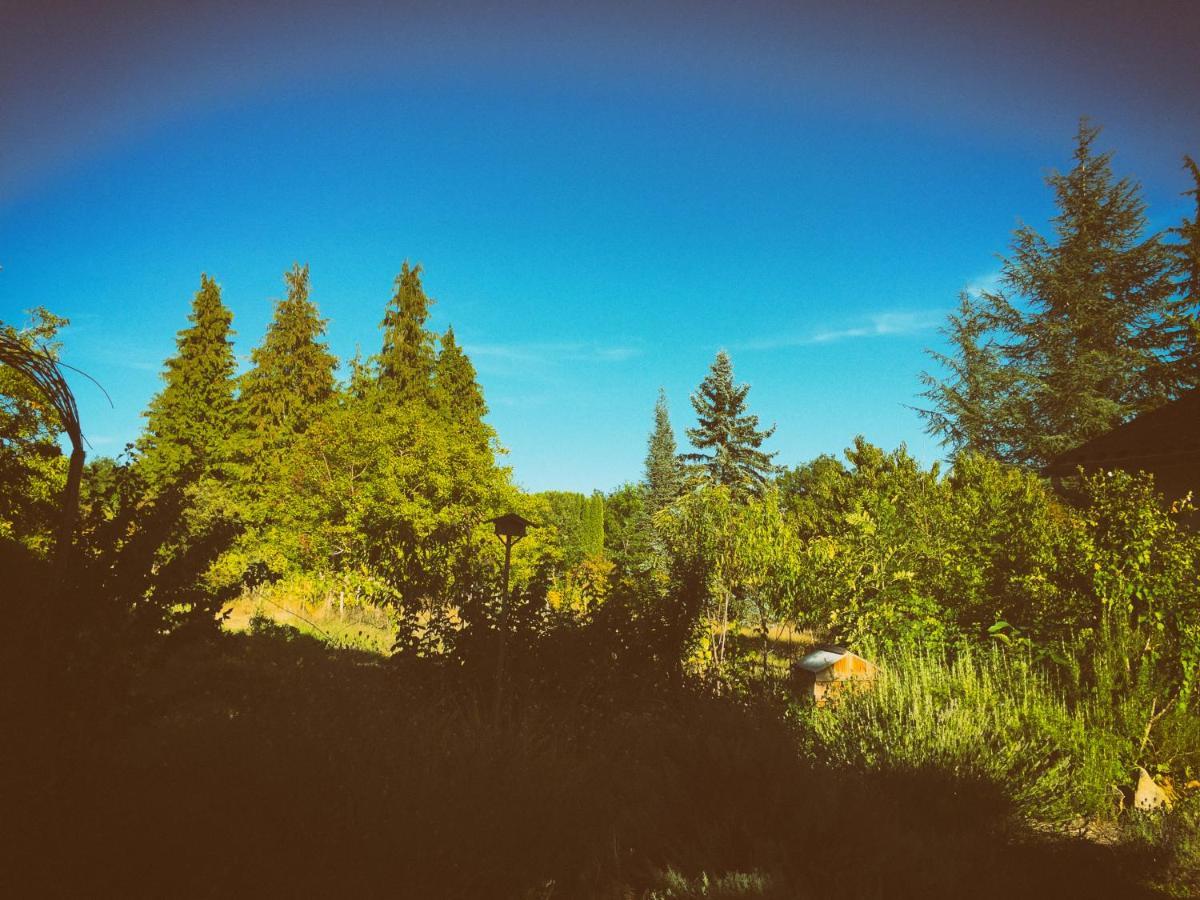 Allemans La Montagne Sud B&B 외부 사진